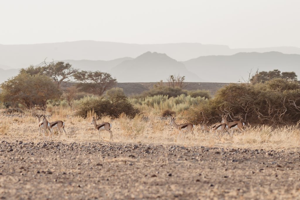 sossusvlei-namibia_mariette-du-toit-photography