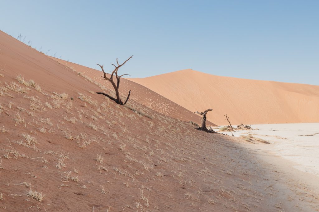 sossusvlei-namibia_mariette-du-toit-photography