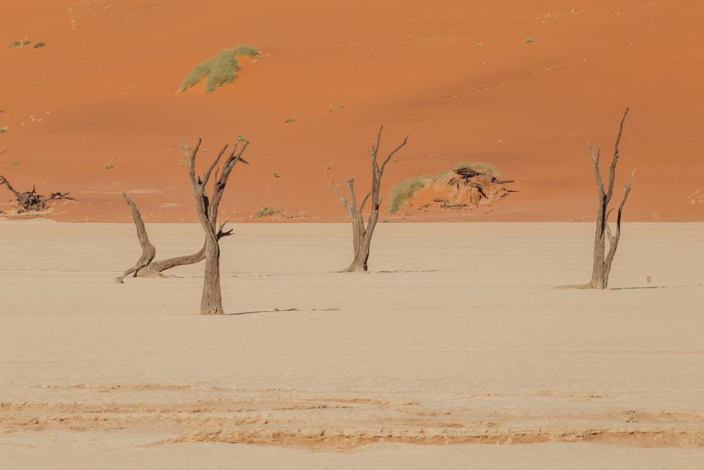 sossusvlei-namibia_mariette-du-toit-photography