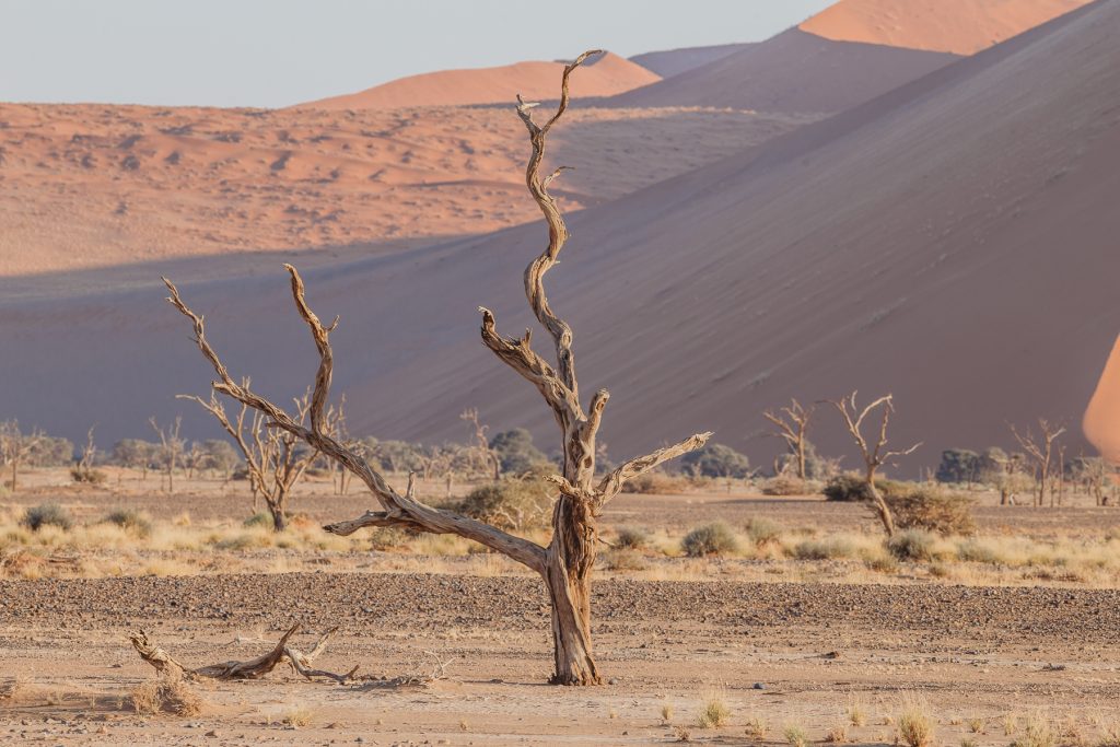 sossusvlei-namibia_mariette-du-toit-photography