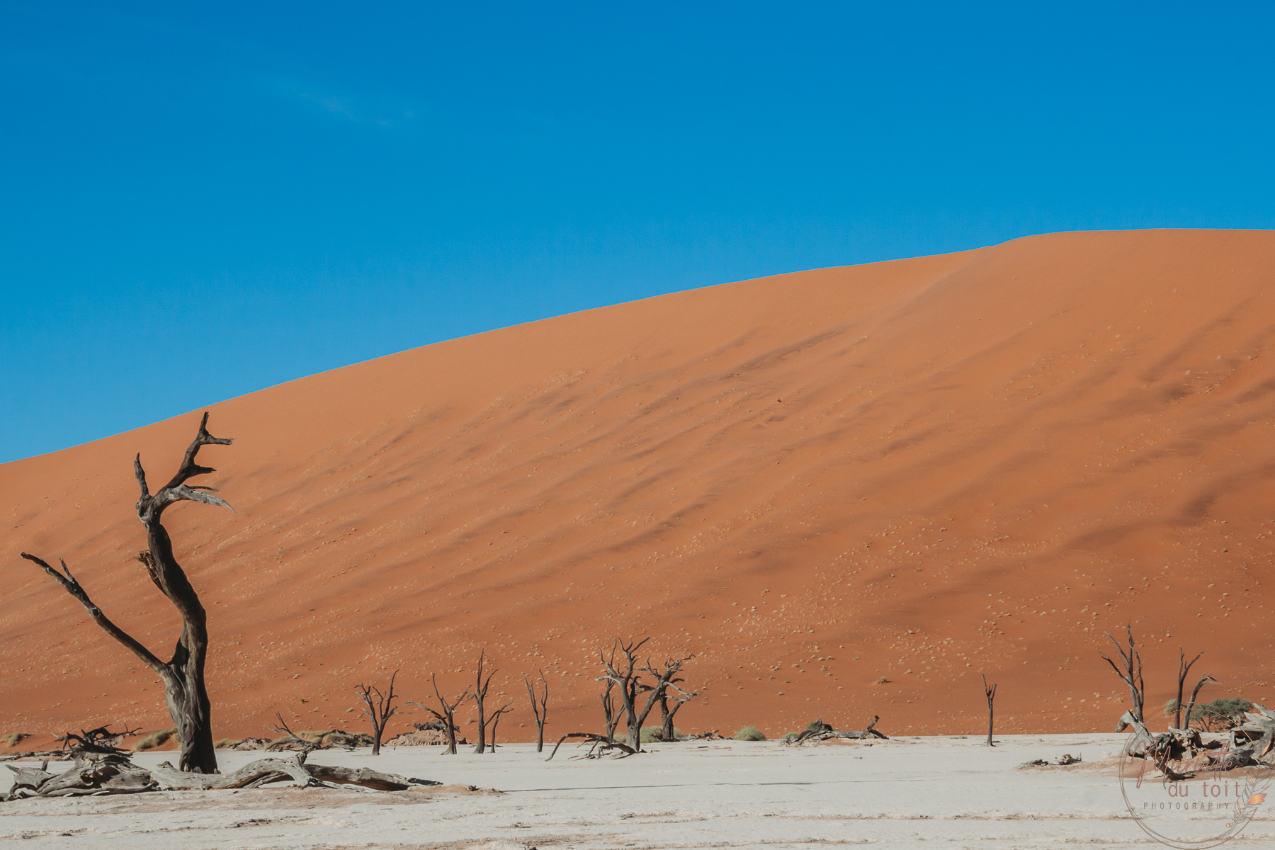 iconic namibian location