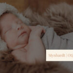 Exploring the Namib Desert