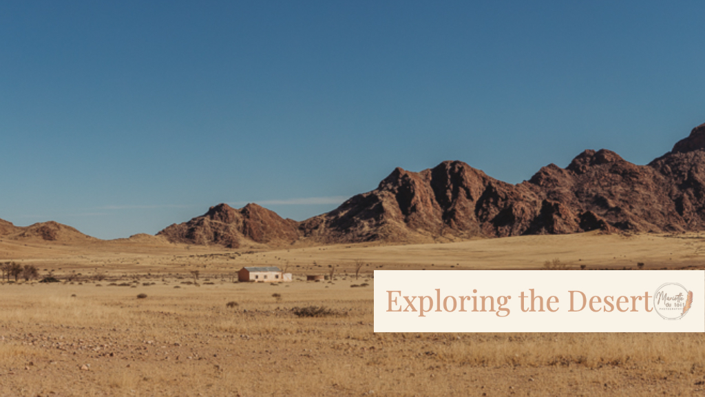 Namib Desert