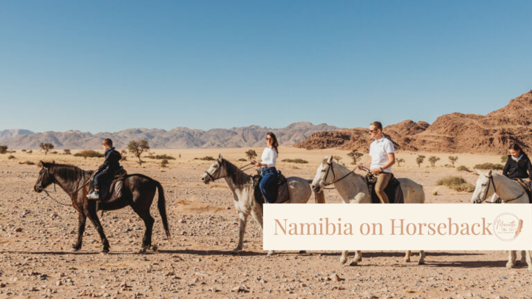 namibia on horseback