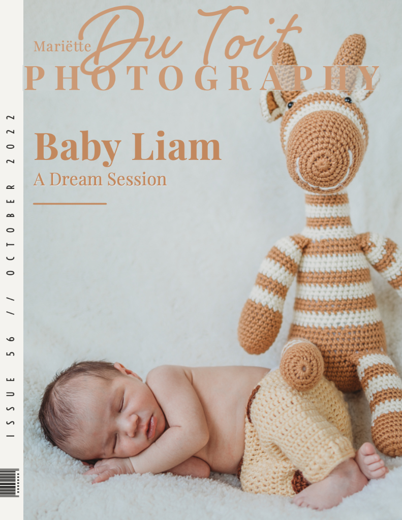 Liam newborn session