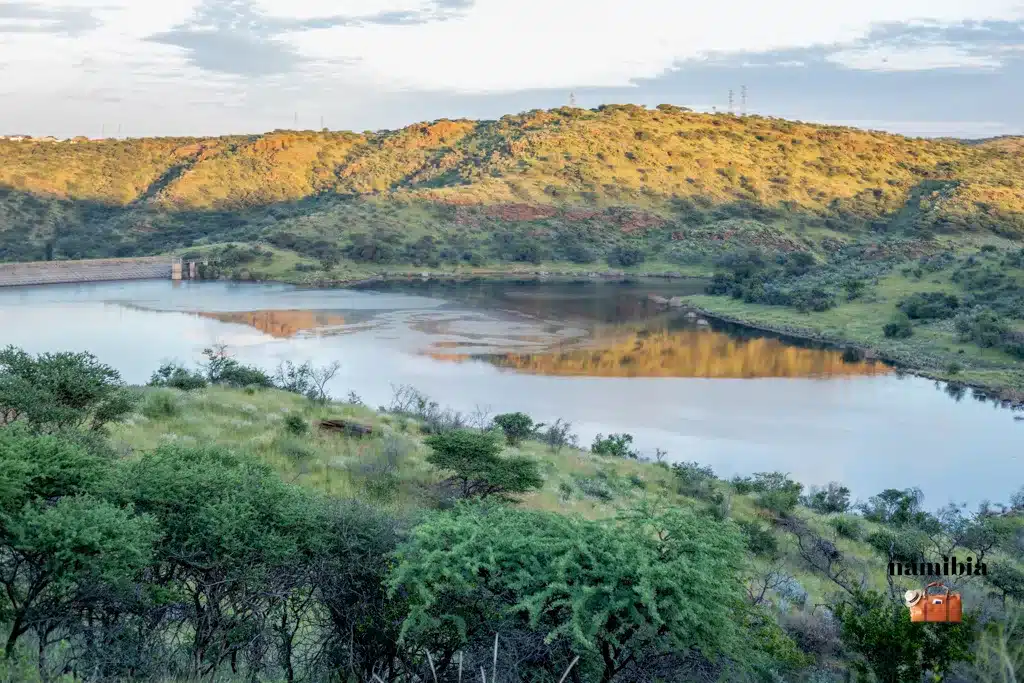 photo of avis dam during the green season