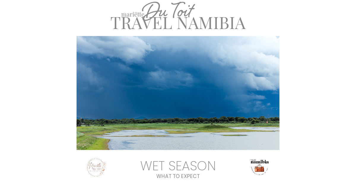 wet season in namibia what to expect