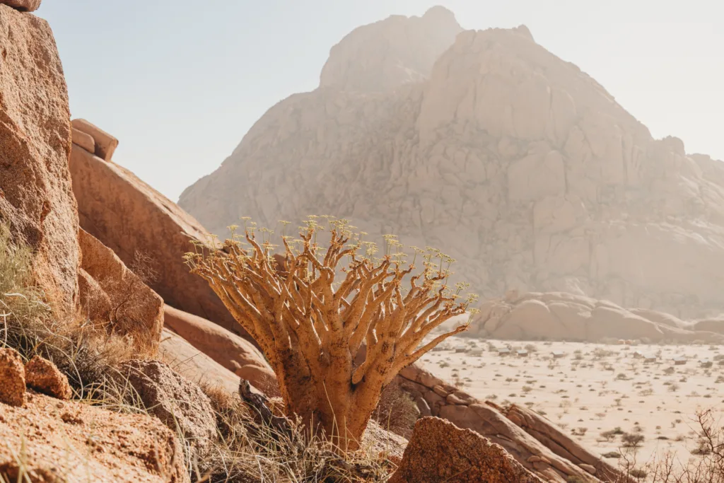 spitzkoppe-namibia_spitzkoppe-rest-camp_mariette-du-toit-photography