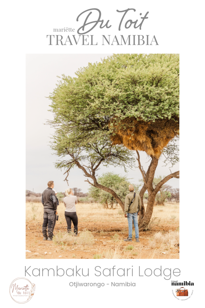 kambaku-safari-lodge_namibia_travel-namibia-mariette-du-toit-photography