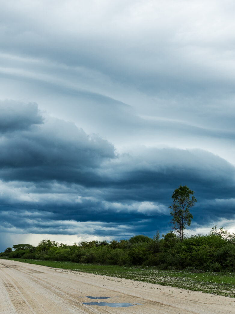 Wet Season in Namibia | Travelling Namibia