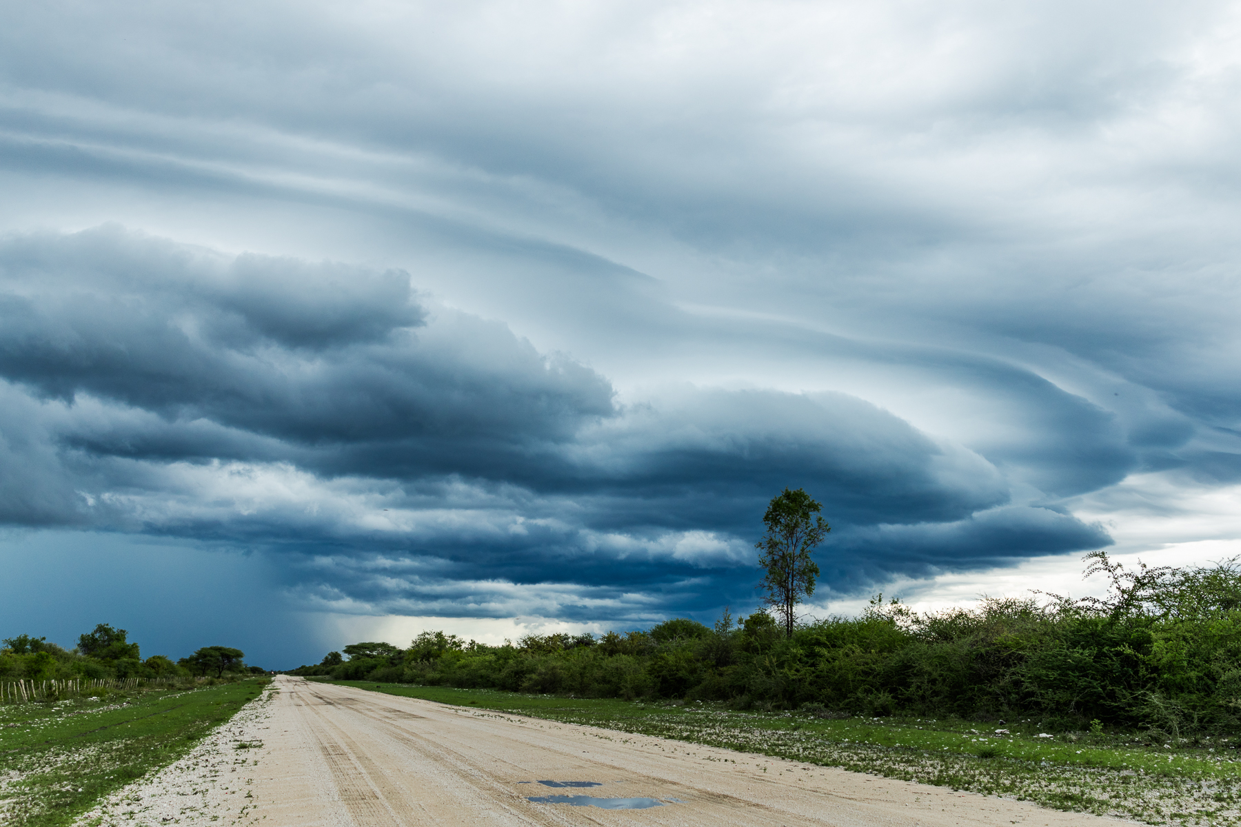 Wet Season in Namibia | Travelling Namibia