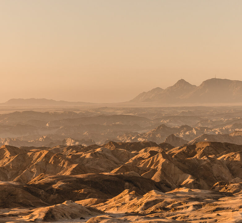 Welwitschia & Moon Landscape Tour