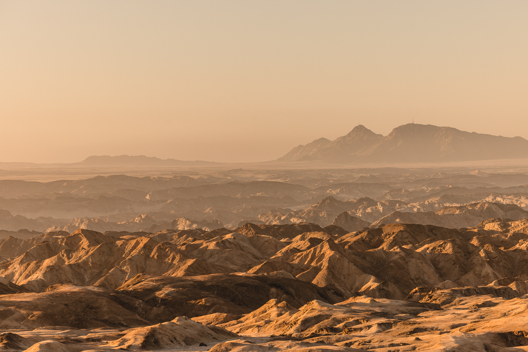 welwitschia_charly-desert-tour_mariette-du-toit-photography