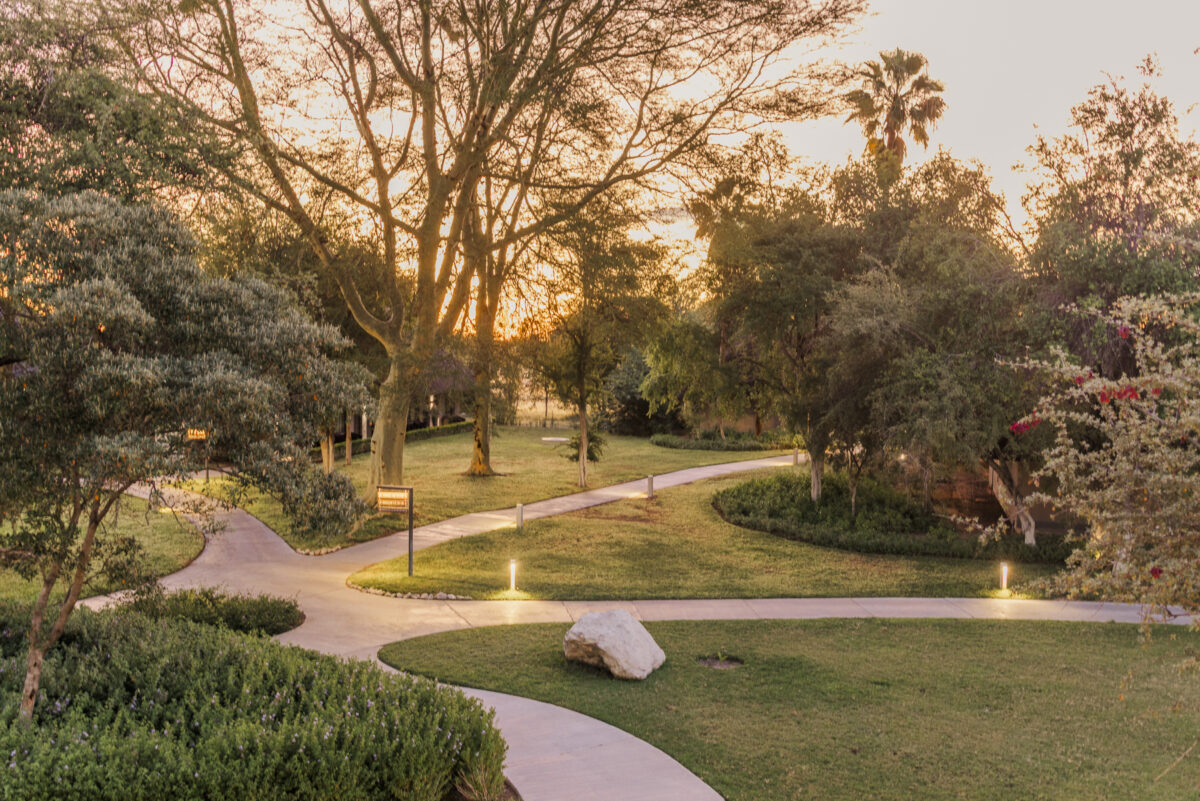 Mokuti-lodge-wedding_intimate-wedding_safari-wedding_mariette-du-toit-photography