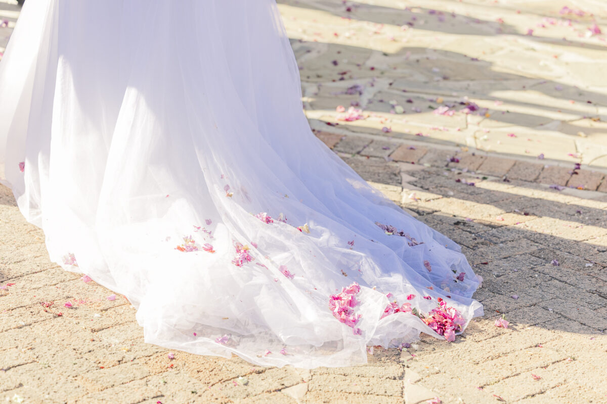 jannie-&-annarie-windhoek-wedding-photographer_bushveld-wedding_mariette-du-toit-photography
