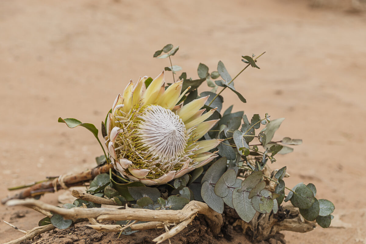 White protea bouquet during wedding photo session in Deadvlei, image by Mariette du toit