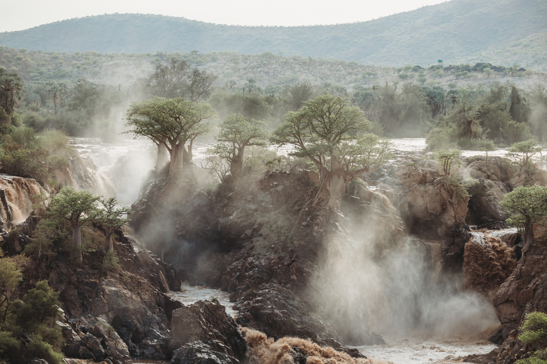 Thundering Epupa Falls in the early morning light, Namibia. Image by Mariette du Toit