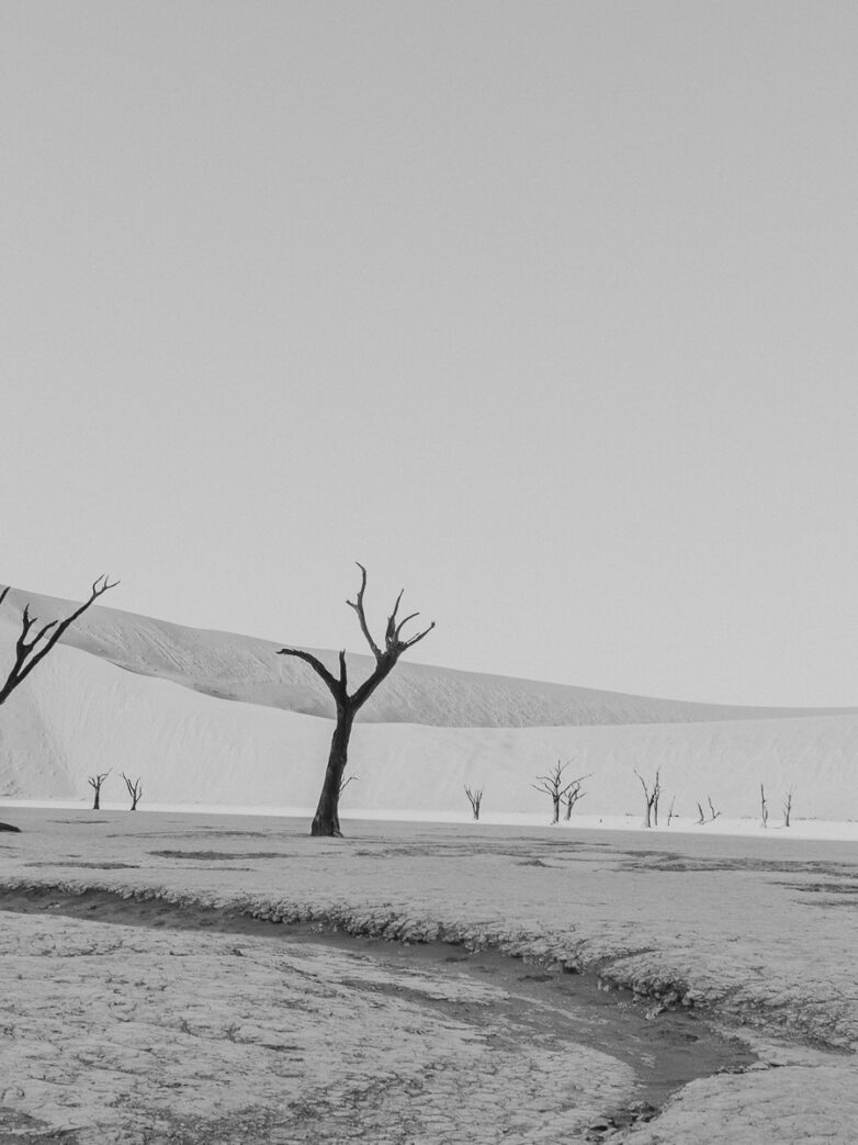 Eloping in Sossusvlei Namibia