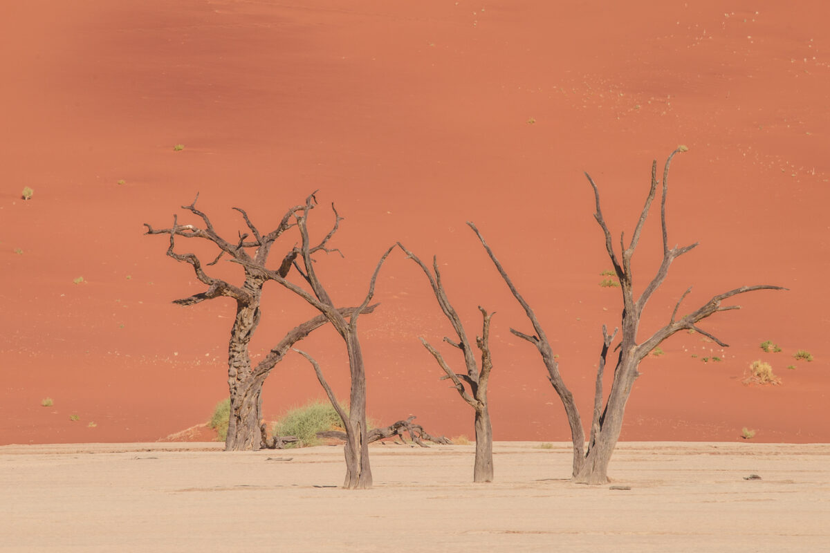 Deadvlei trees against the orange dunes of Sossusvlei during the heat of the day, image by Mariette du Toit Photography