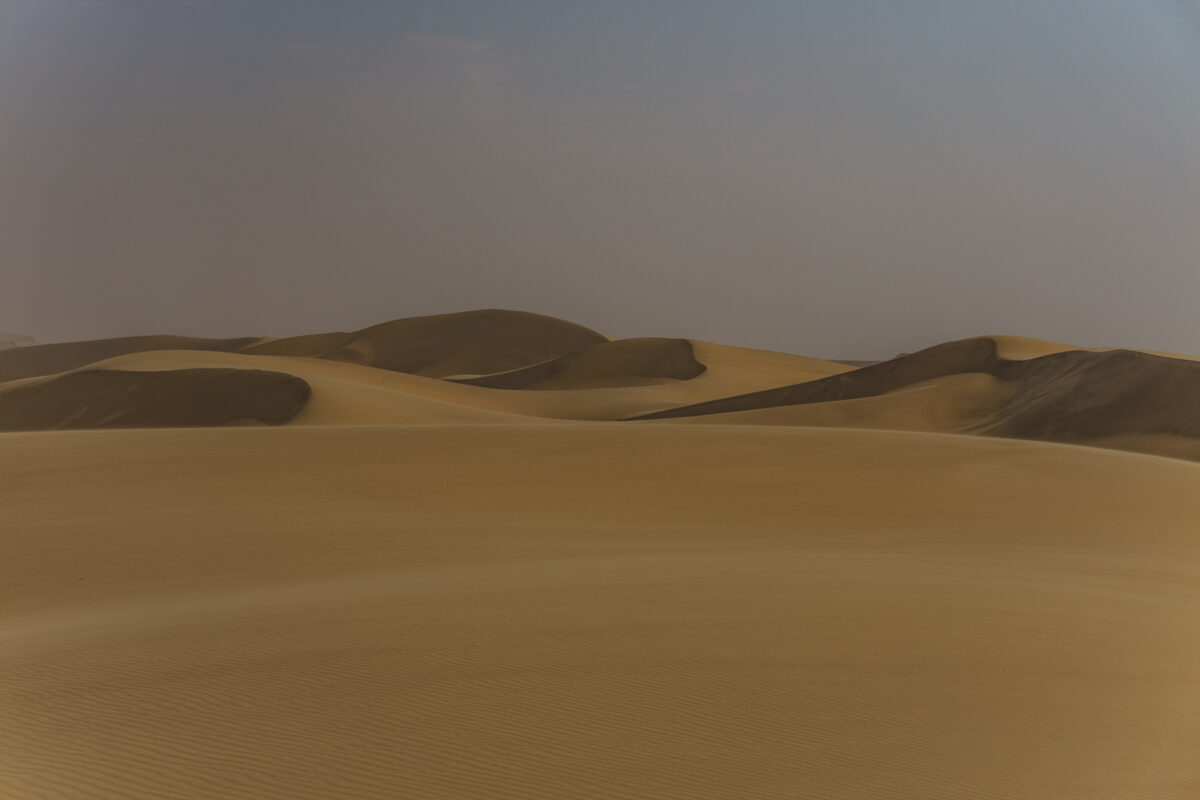 The soft play od wind across the Namib Dunes, image by Mariette du Toit Photography