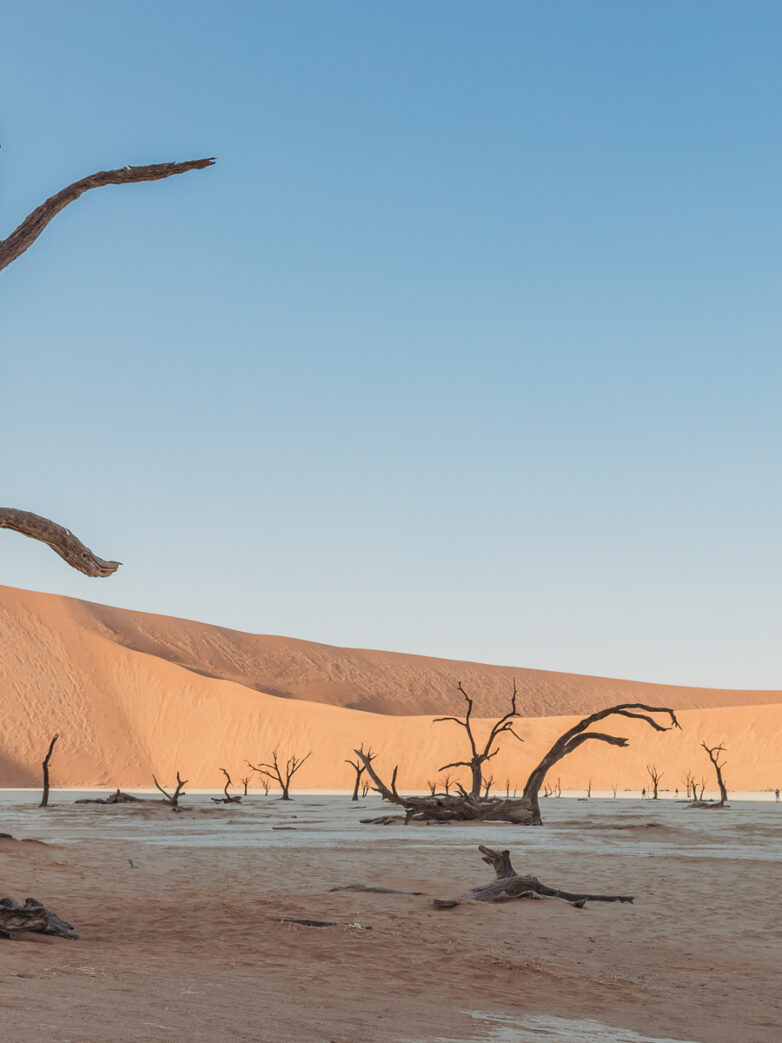 Why Couples Choose Sossusvlei For Their Namibia Elopement