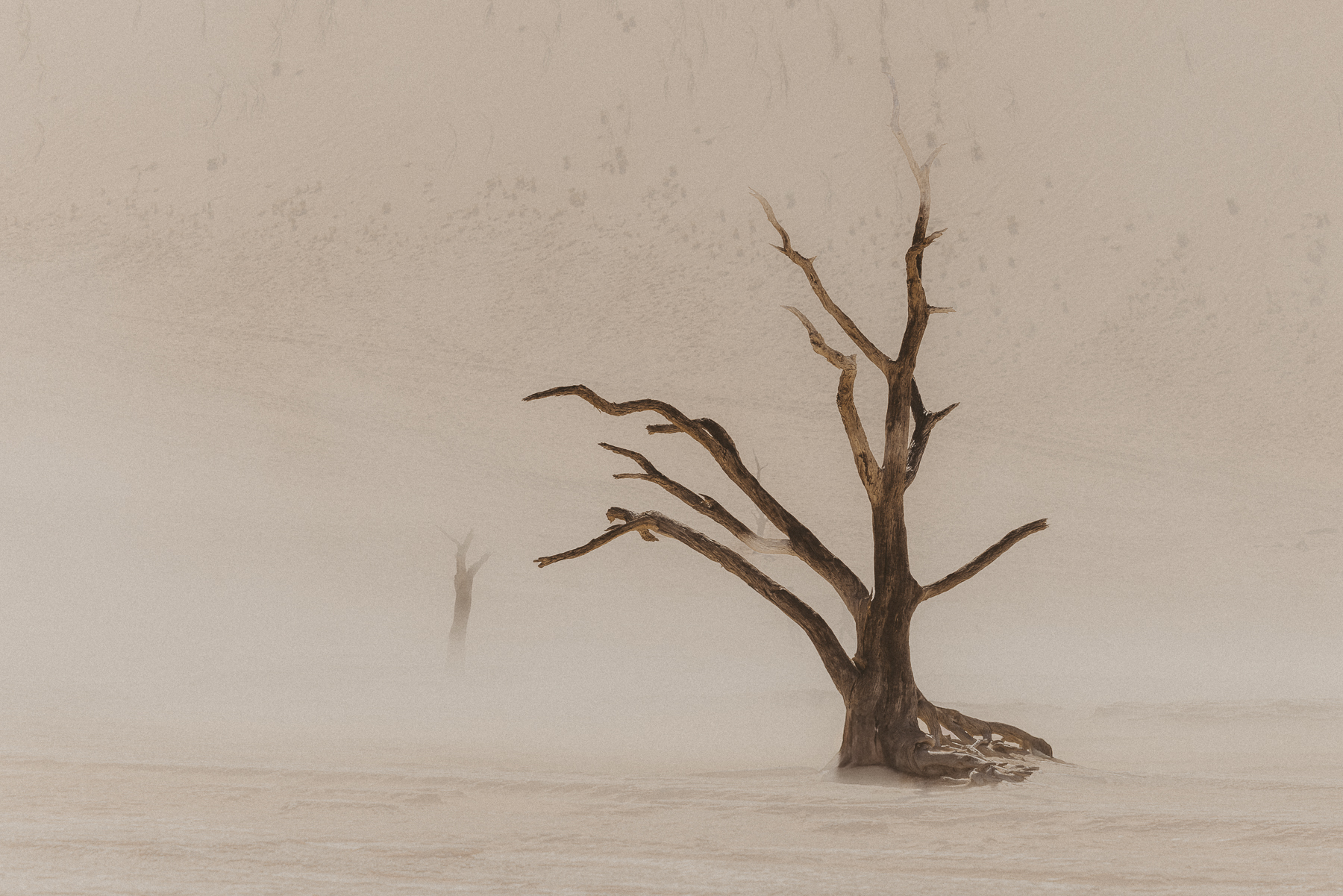 wind in dead vlei, namibia