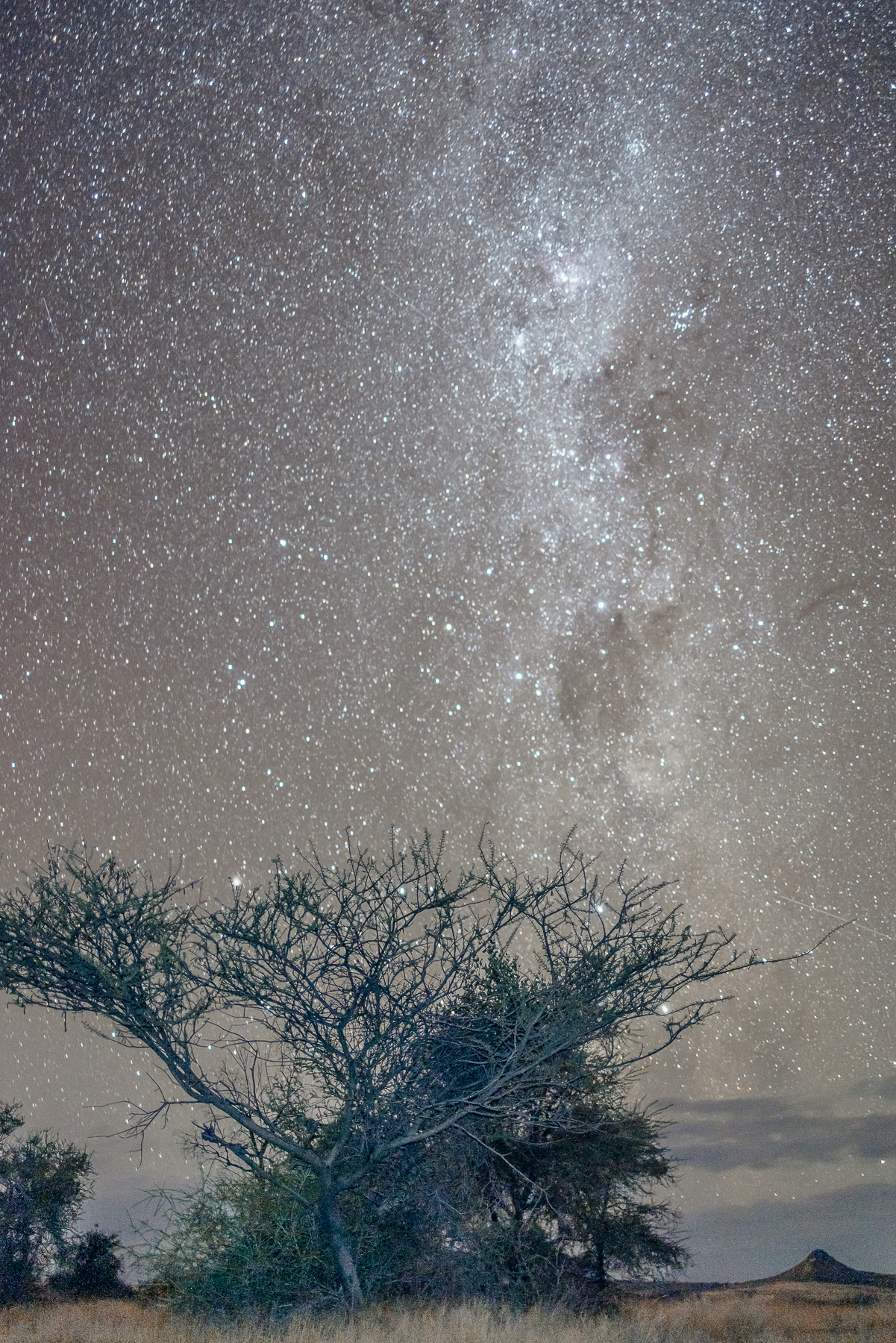 Spitzkoppe night skies