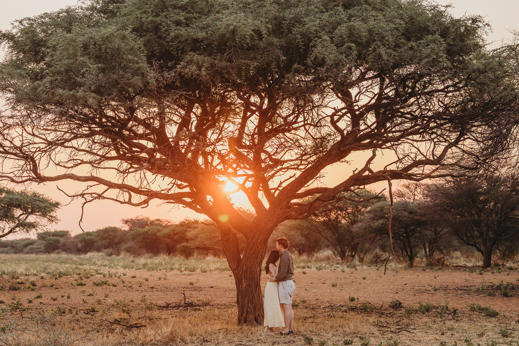 couple in african savannah at sunset