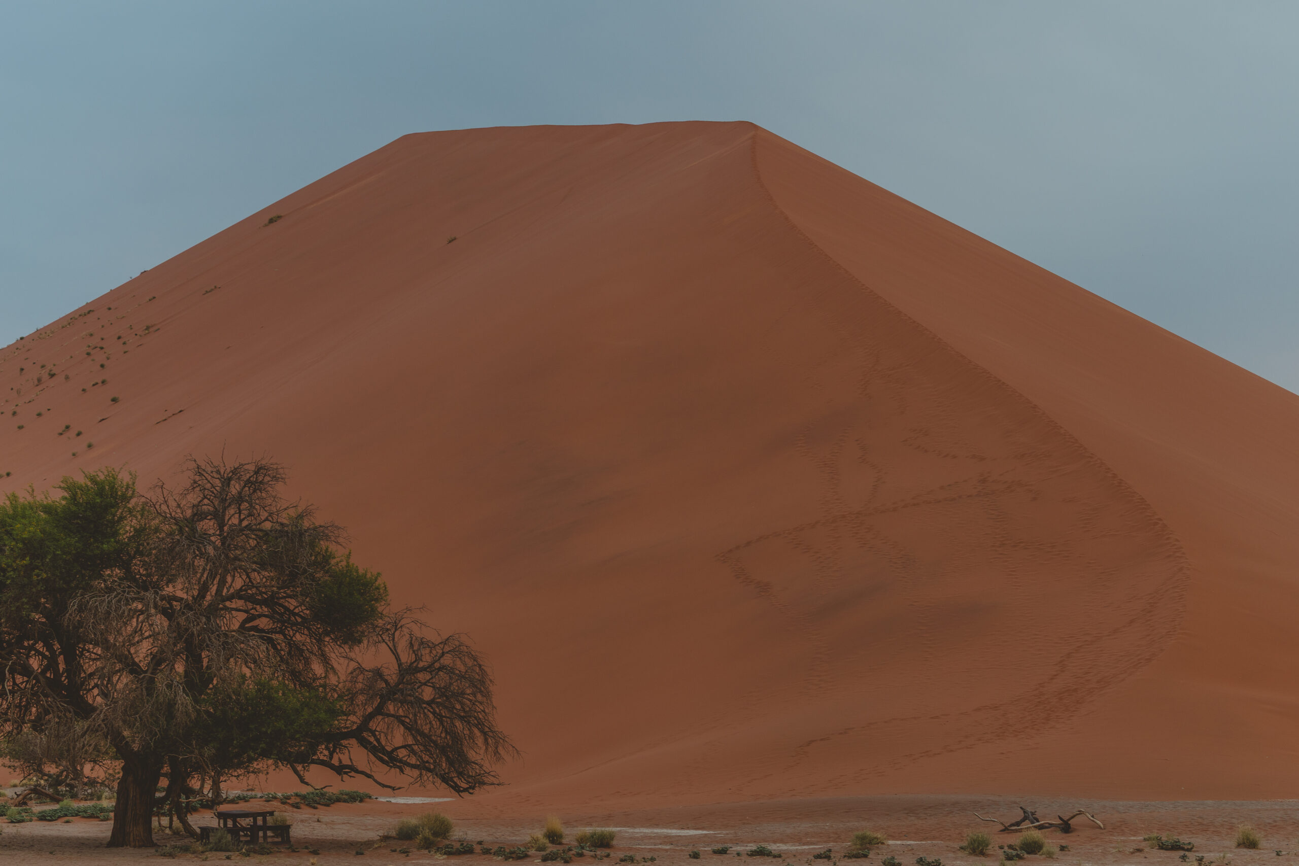 sunset on dune 45