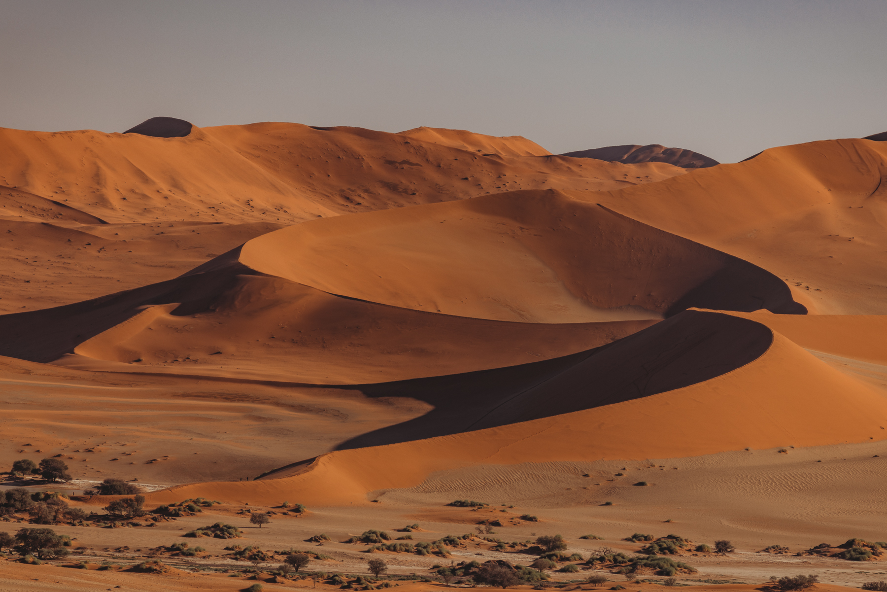 Red dunes of Sossusvlei casting long shadows in the late afternoon light